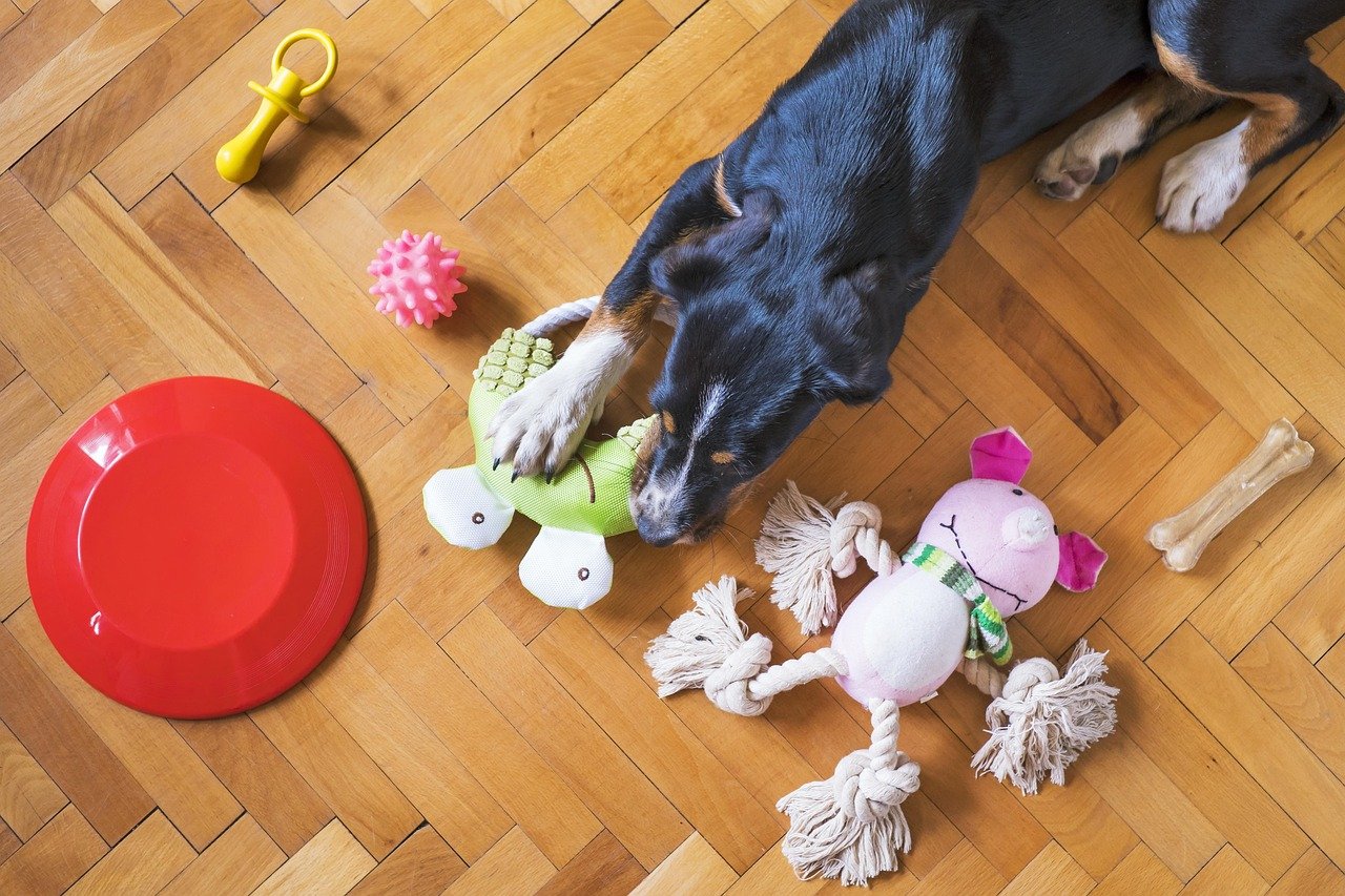 TikTok Viral Pet Owner Finds That Actually Work in 2026
