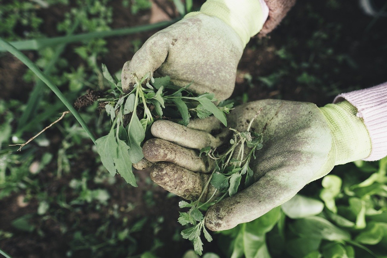 Gardener wearing gloves working outdoors