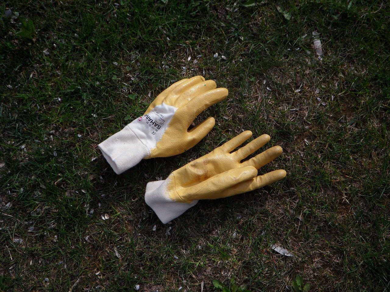Gardening gloves for safe worm removal
