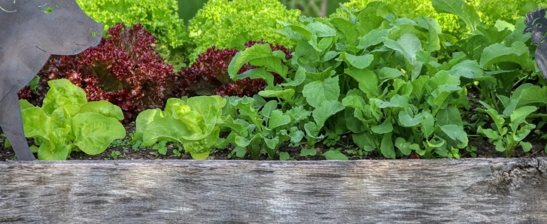 2026 Garden Trends: Kitchen Plots to Pollinator Strips