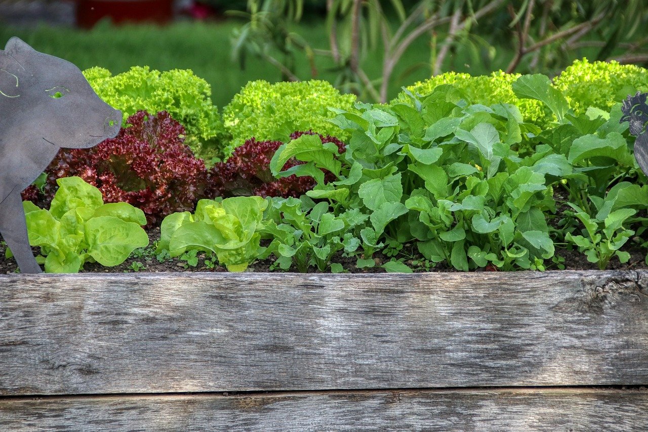 2026 Garden Trends: Kitchen Plots to Pollinator Strips