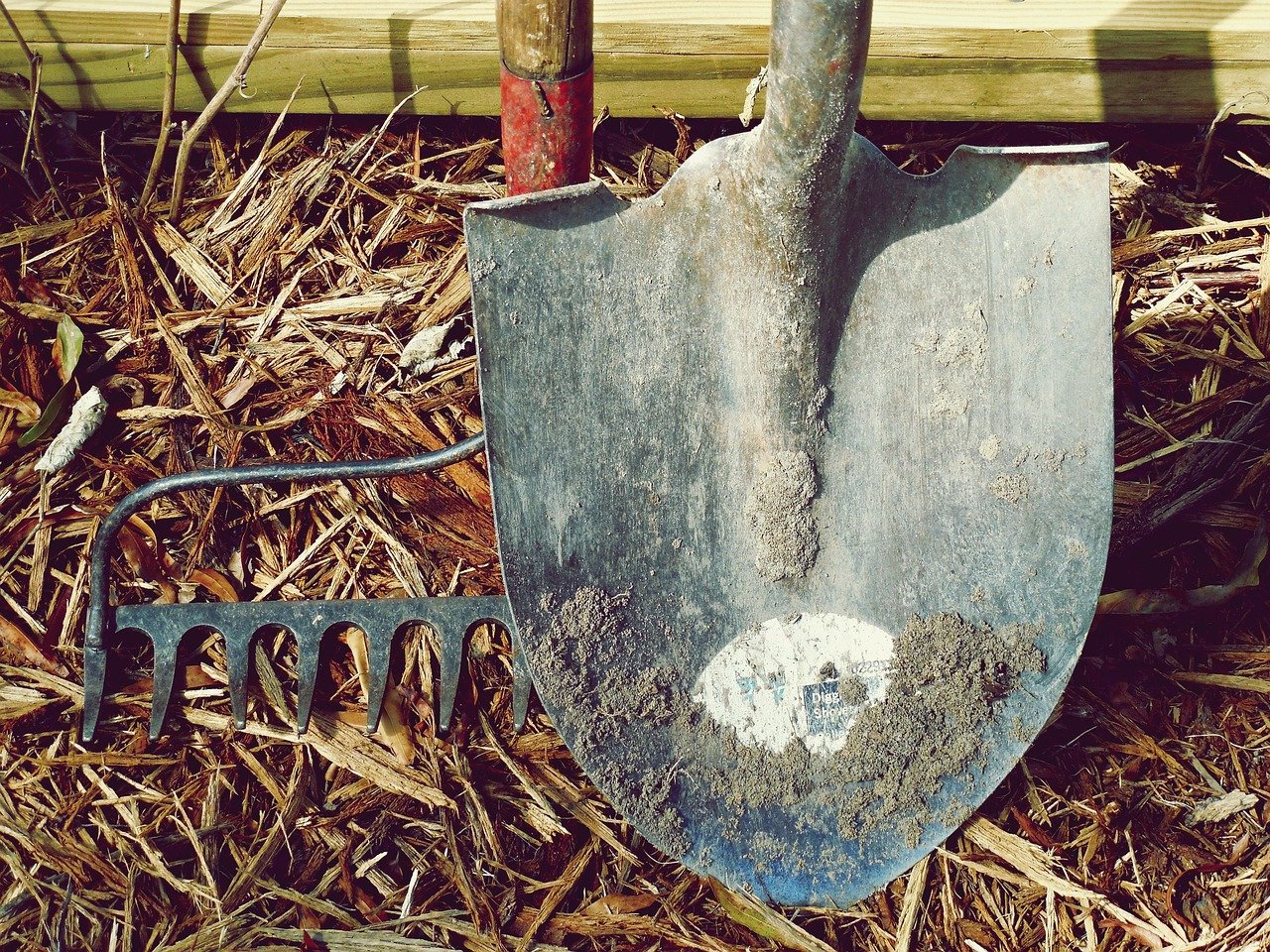 Garden tools resting on soil