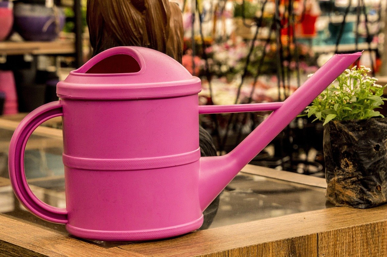 Gardener watering the lawn with a watering can