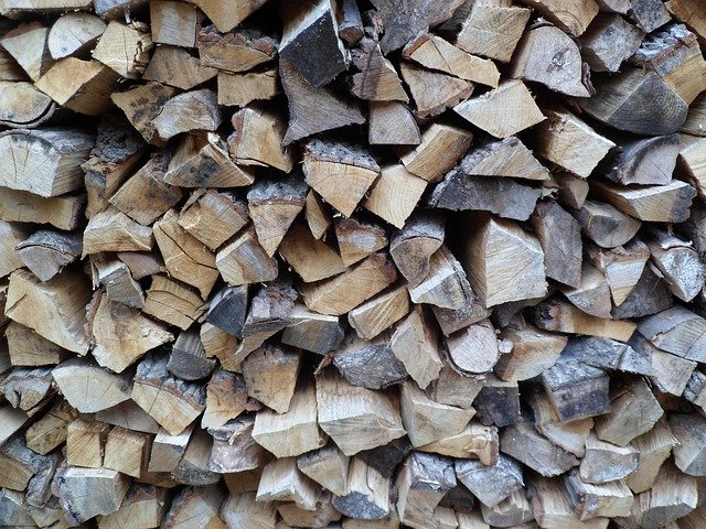 Leave the Leaves: Why Experts Say Skip Fall Yard Cleanup