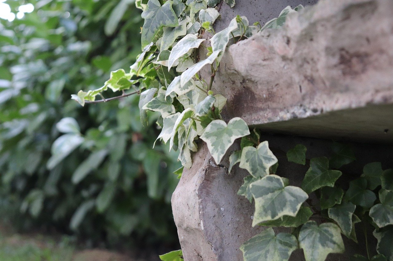 Vertical Gardening Trends 2026: Small-Space Growing Ideas