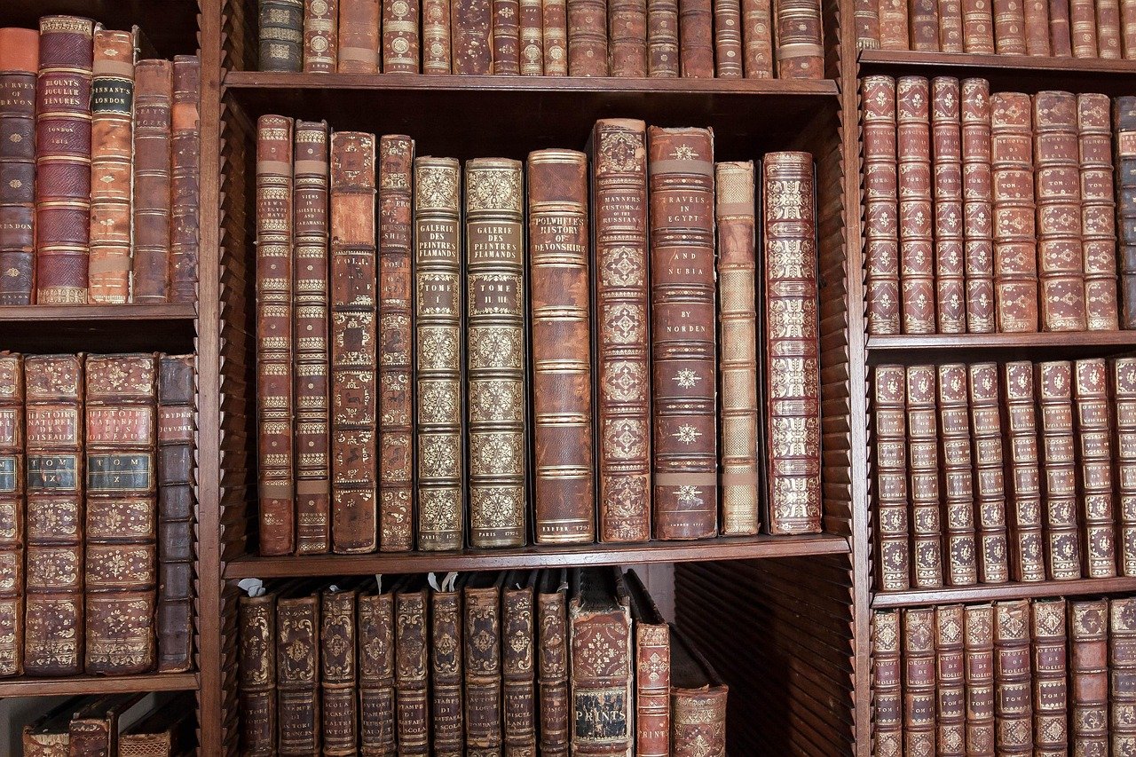 Home Library Trends 2026: 7 Upgrades Designers Swear By