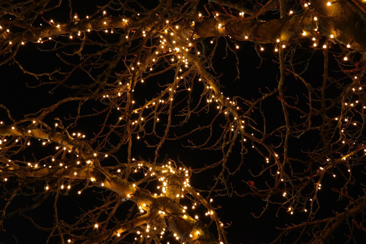 String lights wrapped around tree branches at night with warm amber glow