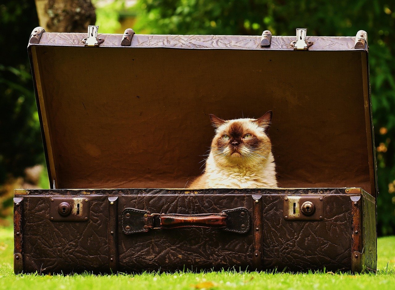 8 TikTok-Viral Travel Finds Frequent Flyers Swear By