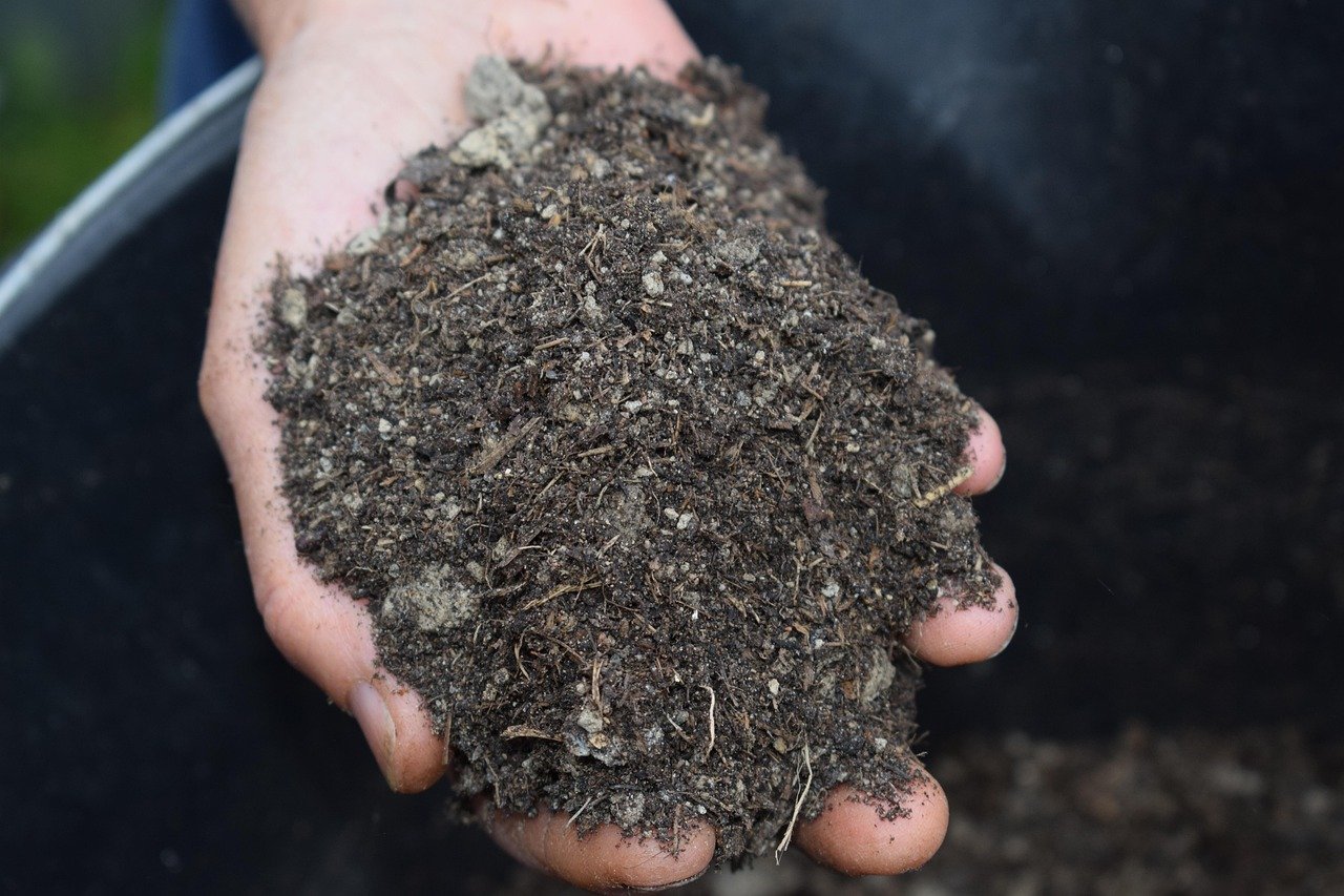 canteiro de jardim coberto com plástico transparente esticado sobre a terra, técnica de solarização do solo