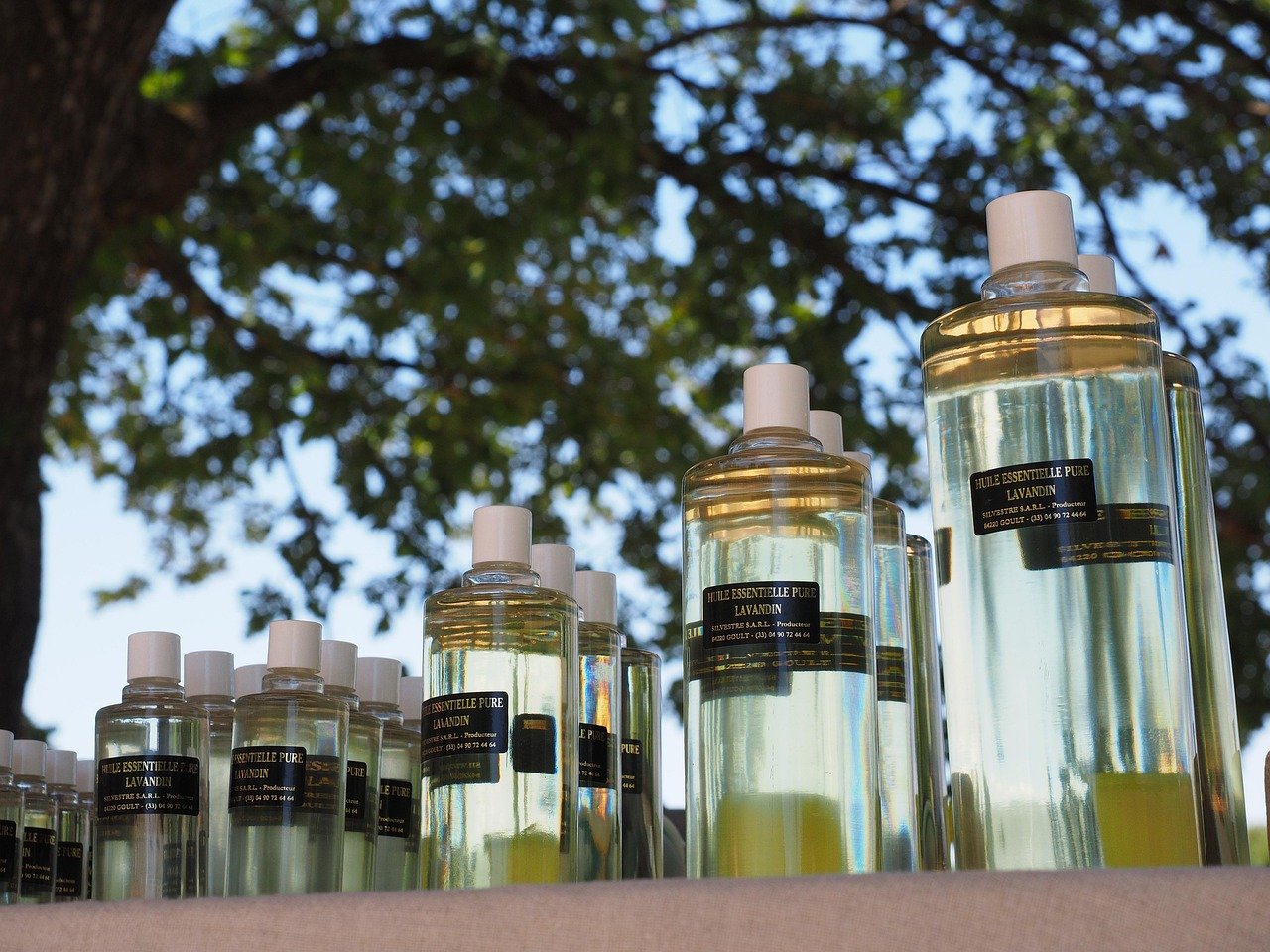 7 Viral Home Fragrance Finds That Make Fall Feel Cozy