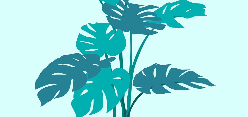 Biophilic Design 2026: Plant and Pattern Trends to Try