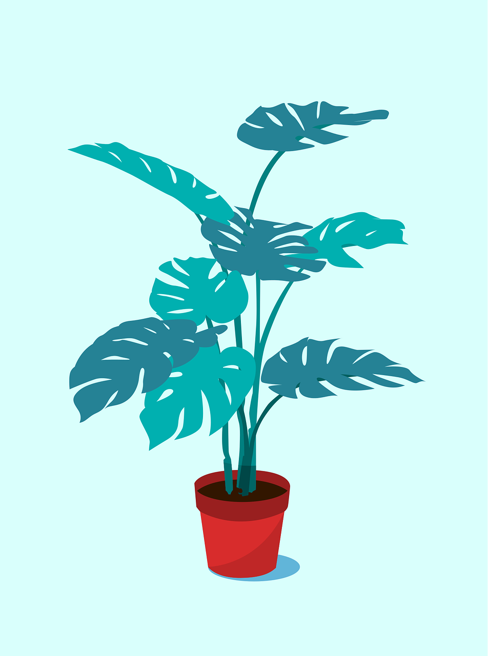 Biophilic Design 2026: Plant and Pattern Trends to Try