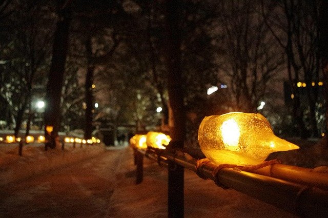 Low warm path lighting along garden walkway