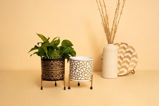 Large ceramic planter with sculptural succulent on patio
