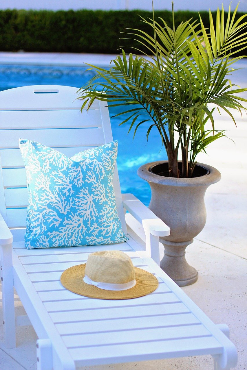 Houseplant Trends 2026 Meet Fall’s Big Move Indoors