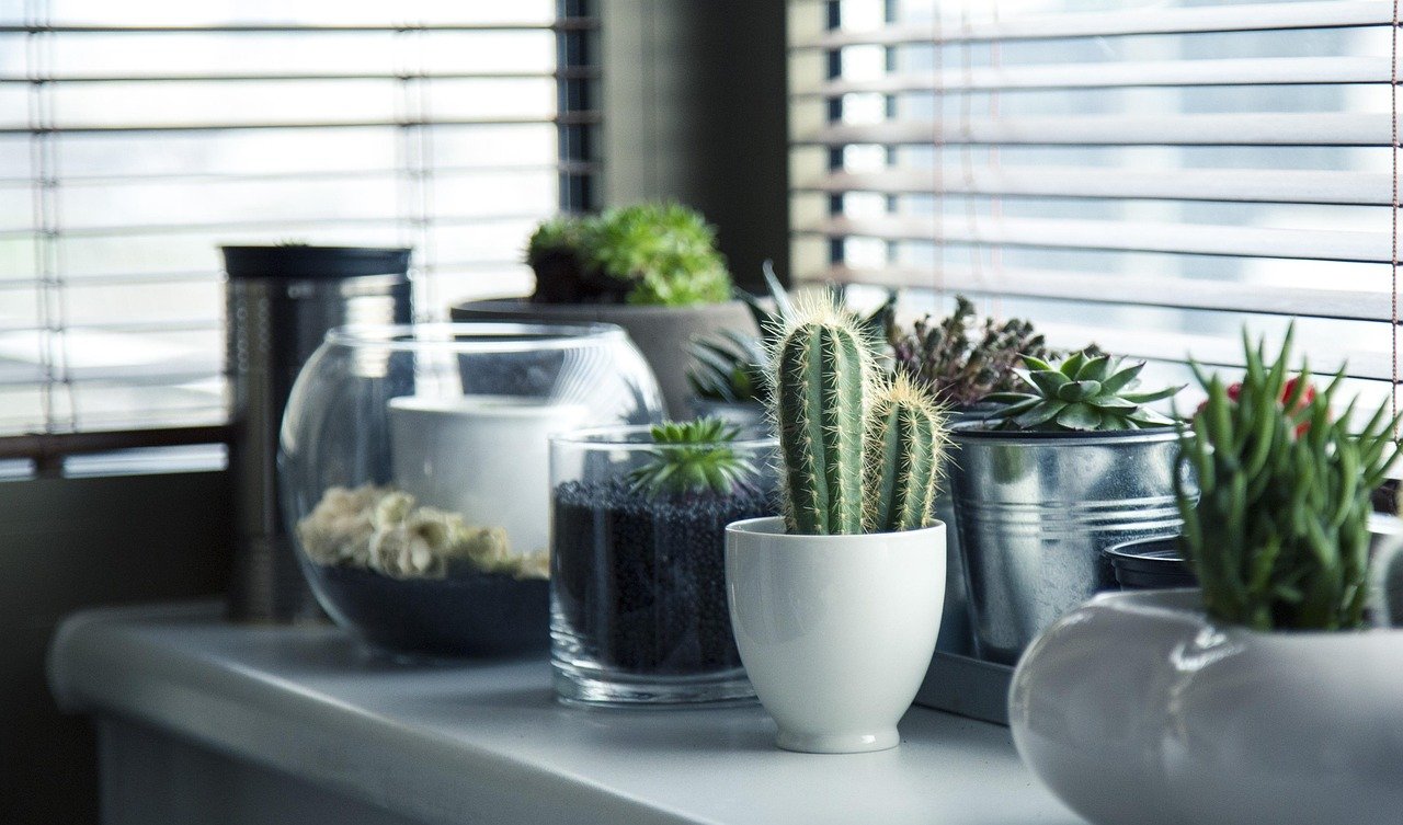 Shelf with multiple hanging trailing plants in colorful varied pots, plant maximalism style