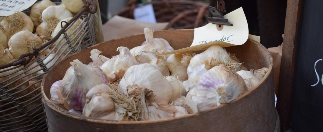 When to Plant Garlic: Fall Dates by Zone + Easy Steps