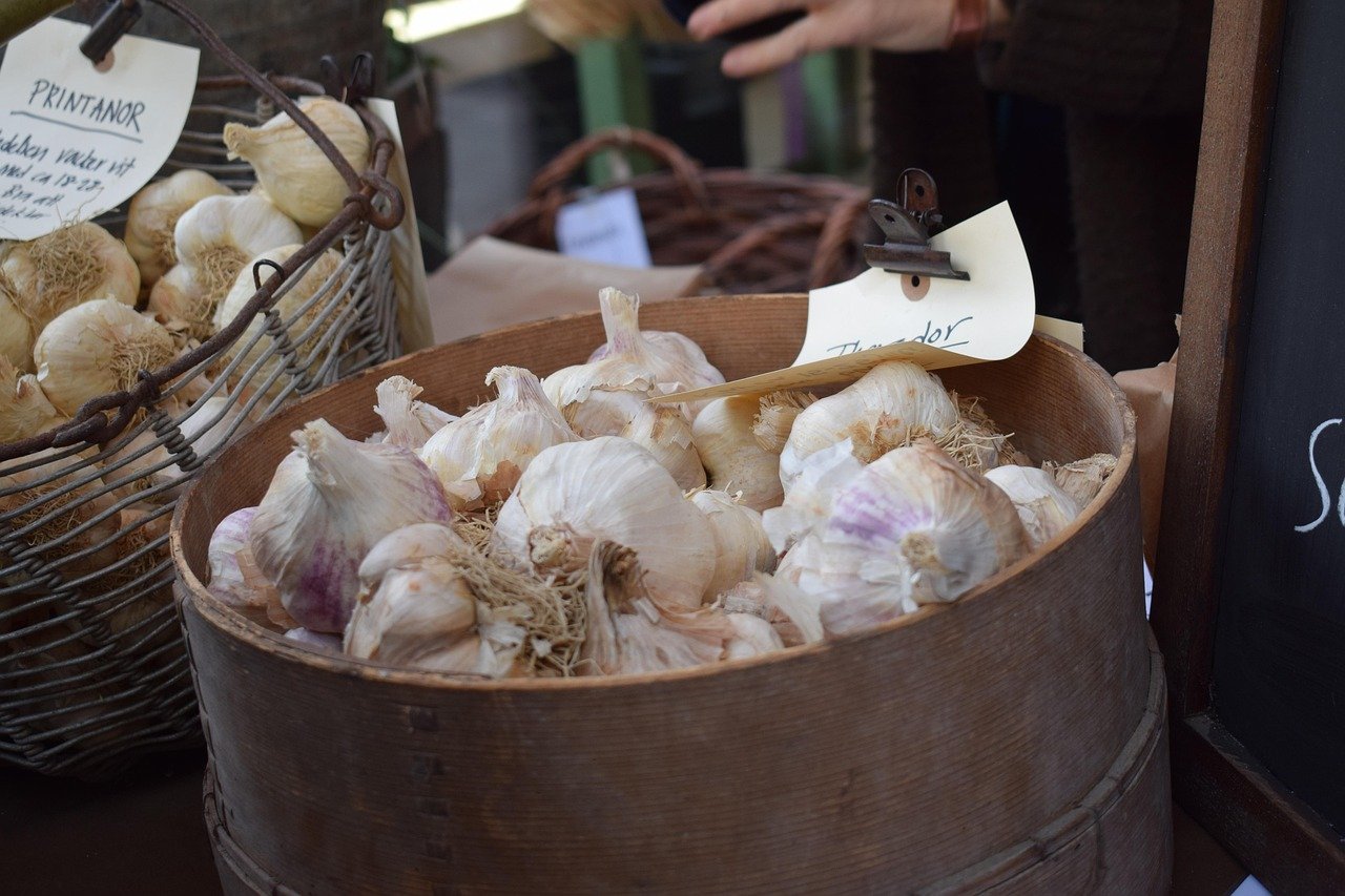 When to Plant Garlic: Fall Dates by Zone + Easy Steps