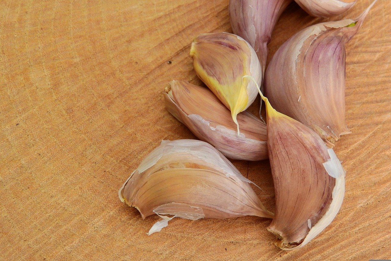Garlic cloves ready for planting