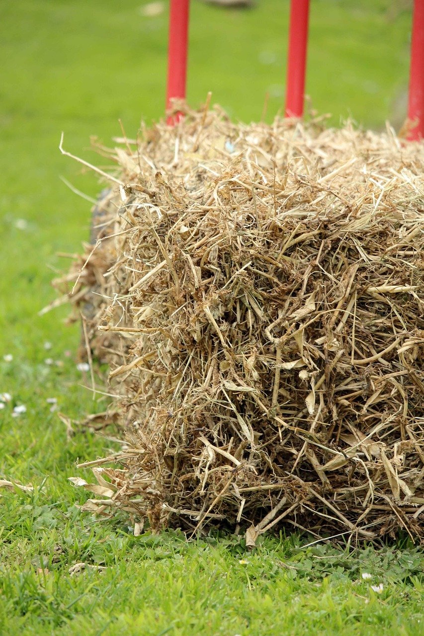 Straw mulch spread over a garden bed