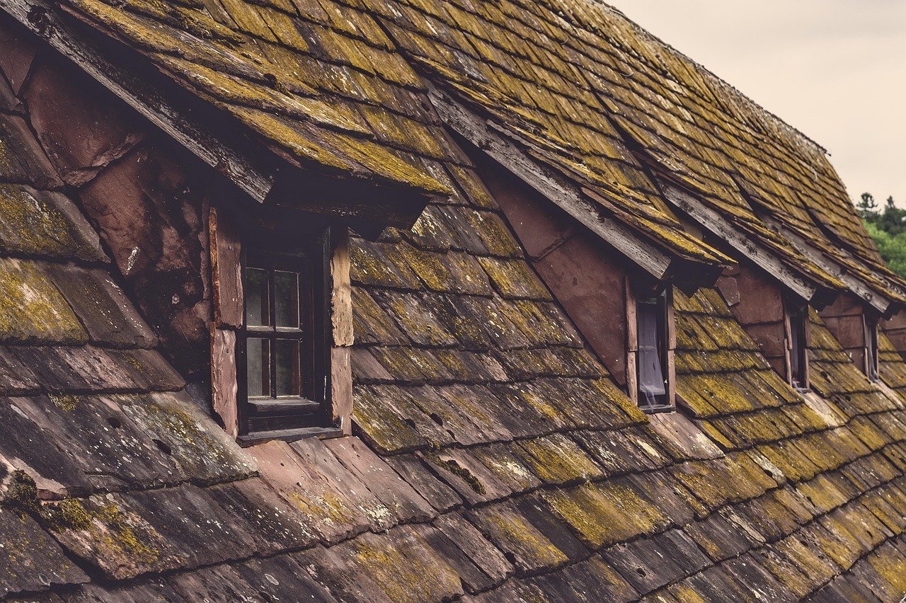 Asphalt shingle roof on a suburban home