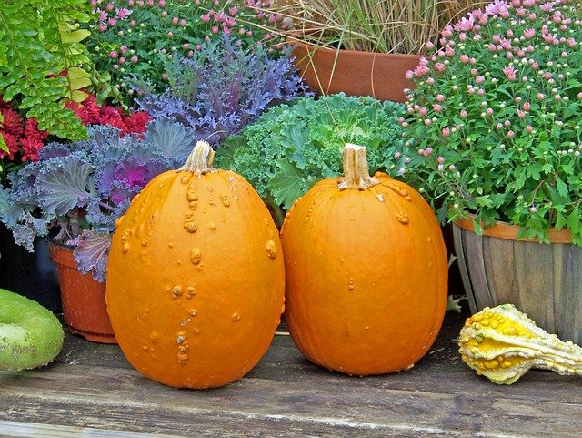 Fall Mum Displays: The 2026 Trend Elevating Porches
